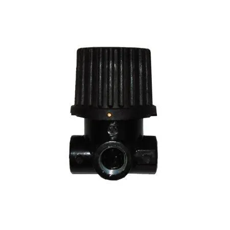 Black Diamond 1/4" NPT Inlet/Outlet x 1/4" NPT Gauge Pressure Regulator