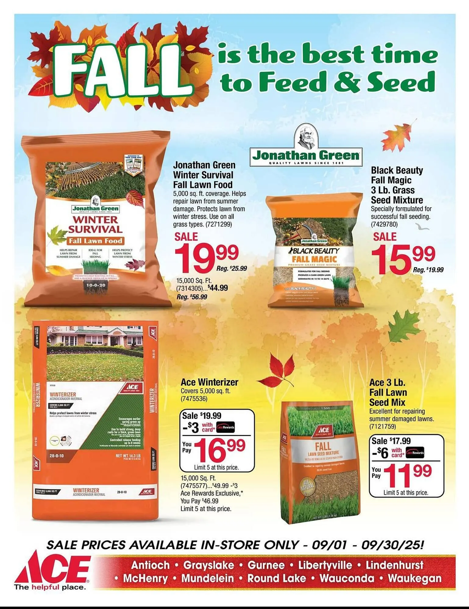 Weekly ad Ace Hardware flyer from September 1 to September 30 2025 - Page 3