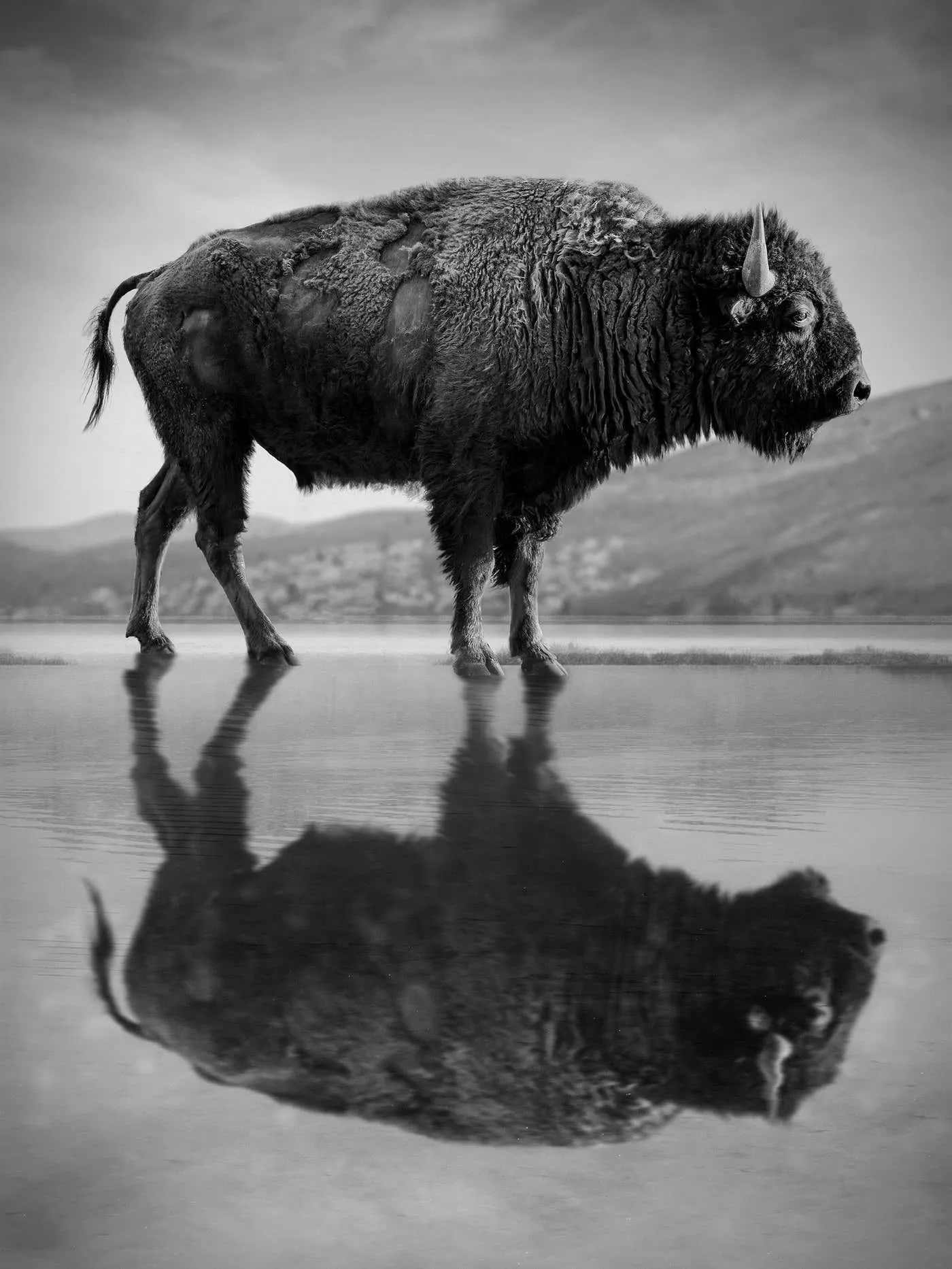 Black and White Photography