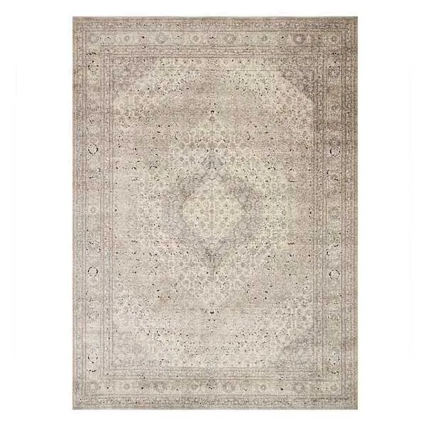 (B500) Xander Ivory & Tan Area Rug, 8x10