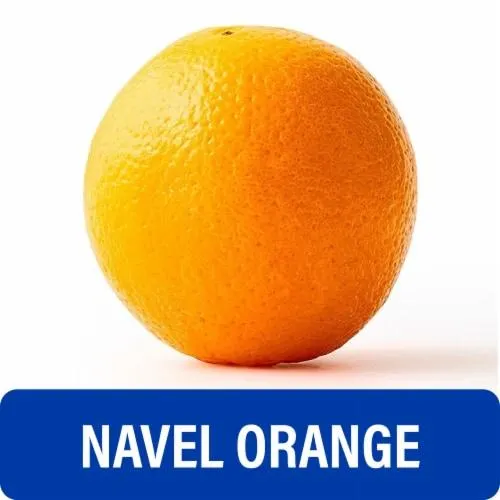Fresh Navel Oranges - Each