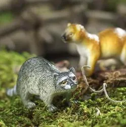 Miniature Prairie Dog and Raccoon (Set of 2)