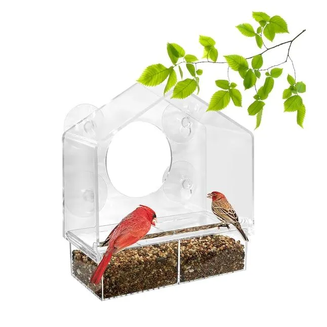 Style Selections Birdfeeder Plastic Window-mount (suction cup) Window Bird feeder - 0.625-lb