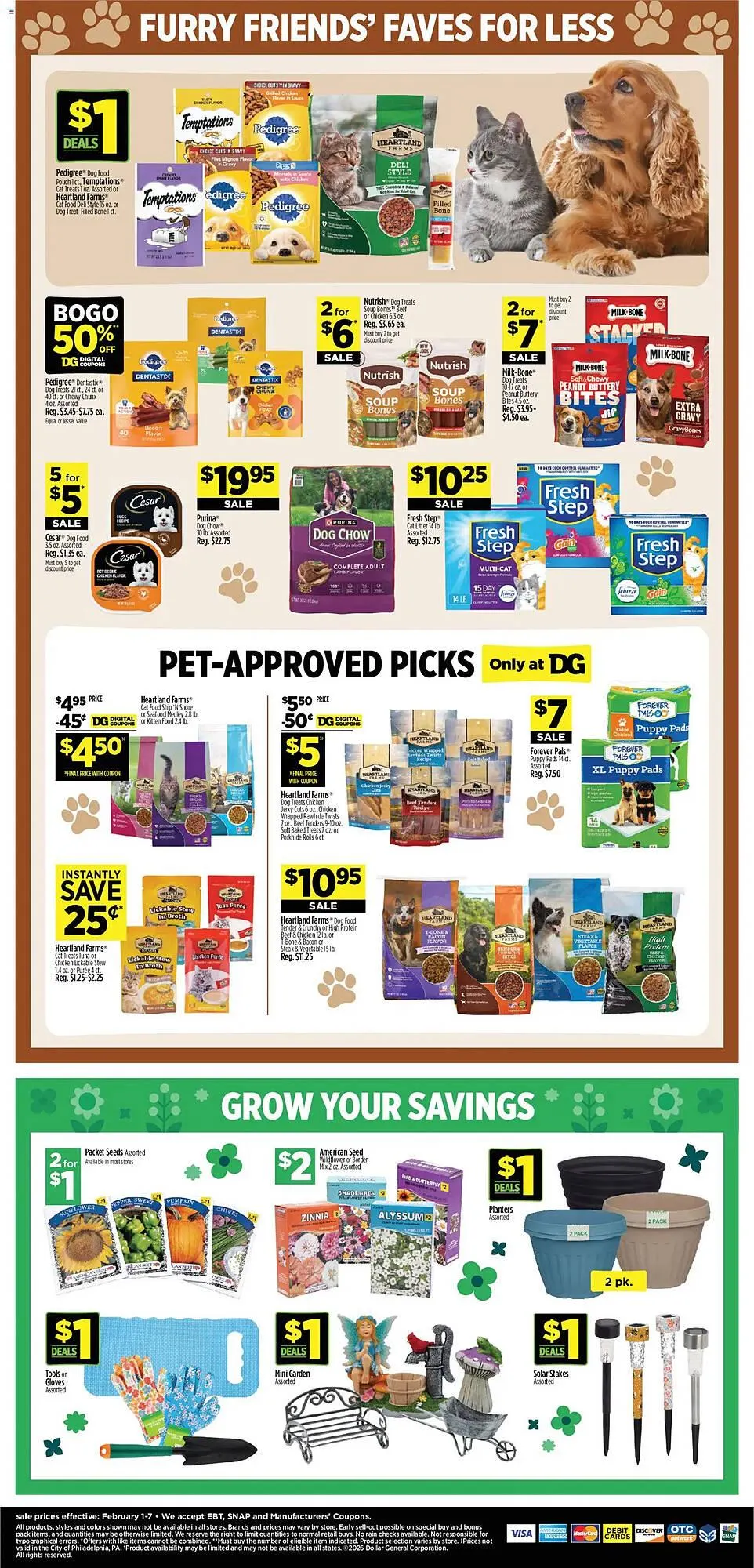 Weekly ad Dollar General weekly ad from February 1 to February 8 2026 - Page 13