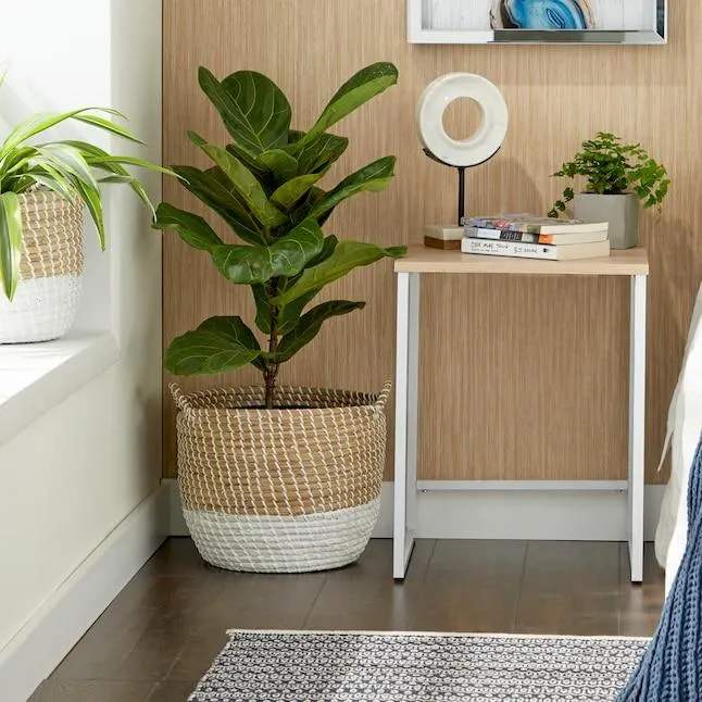 CosmoLiving by Cosmopolitan 3 -Pack ( 18-in W x 15-in H x 16-in D ) Brown Handmade Two Toned with Handles Sea grass Basket