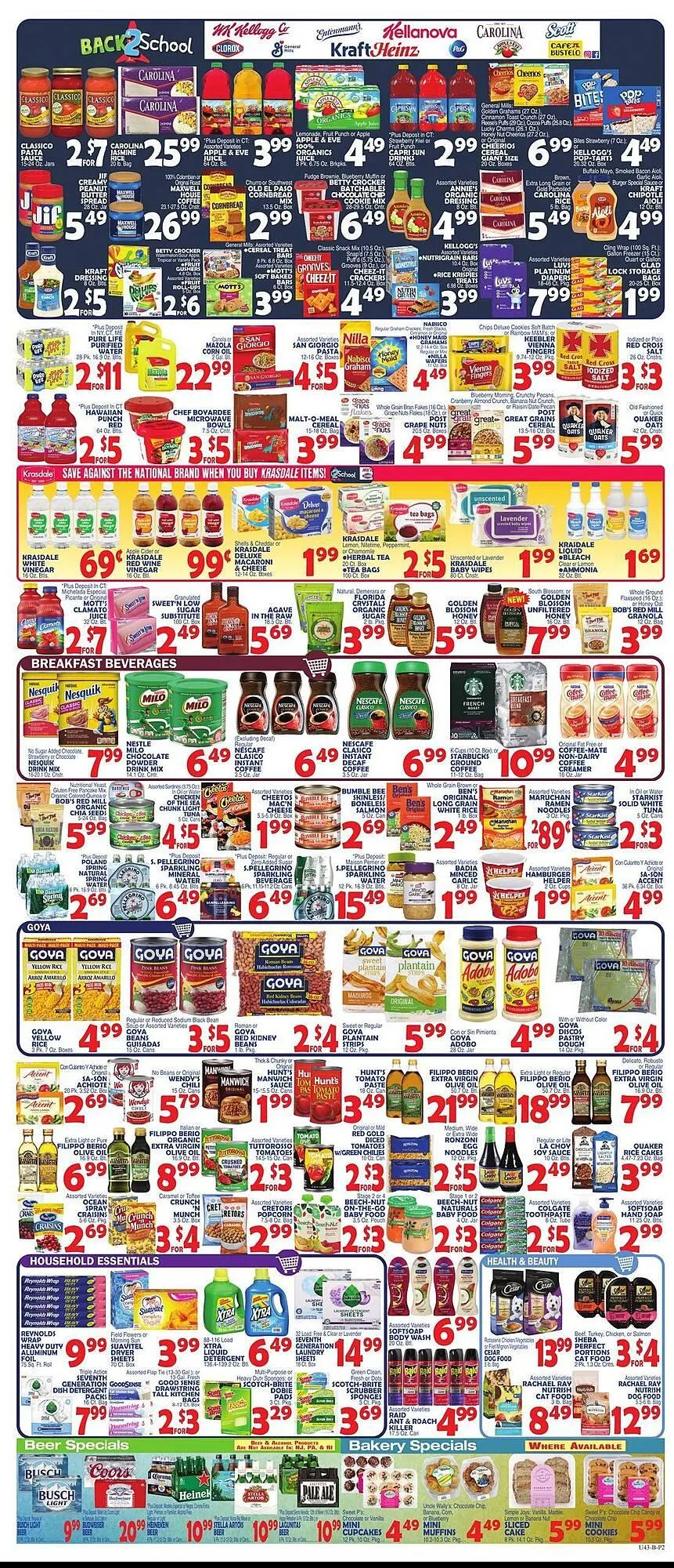 Weekly ad Bravo Supermarkets Weekly Ad from August 15 to August 21 2025 - Page 2