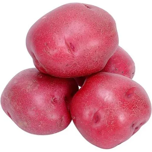 Red Potatoes 10lb. bag