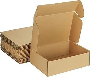 MEBRUDY 12x9x4 Inches Shipping Boxes Pack of 20, Small Corrugated Cardboard Box for Mailing Packing Literature Mailer