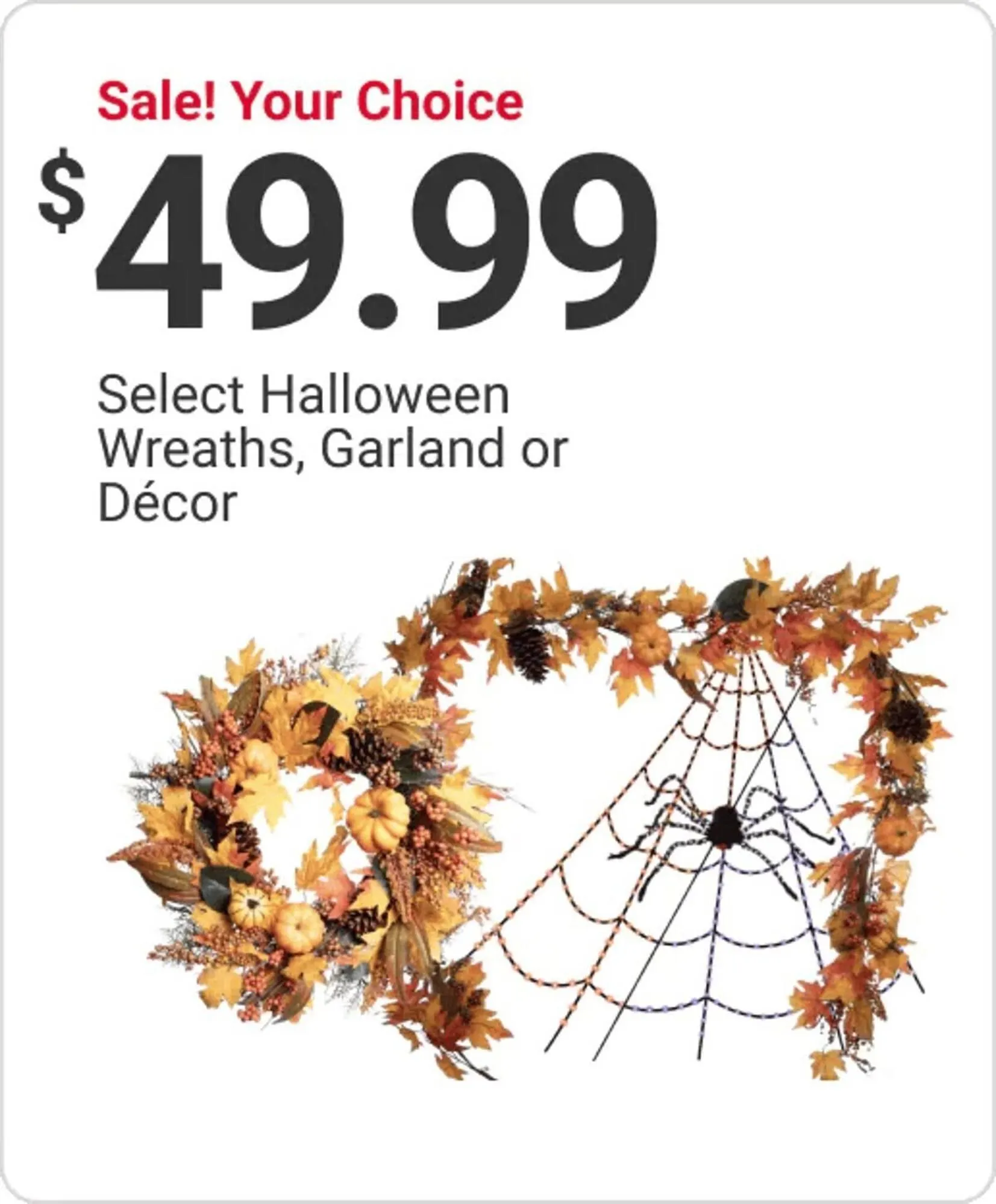Weekly ad Ace Hardware flyer from October 15 to October 21 2025 - Page 14