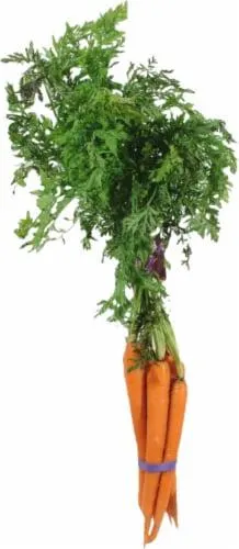 Organic Carrots Bunch