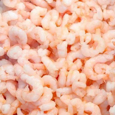 Fresh/Wild Cooked Shrimp Meat