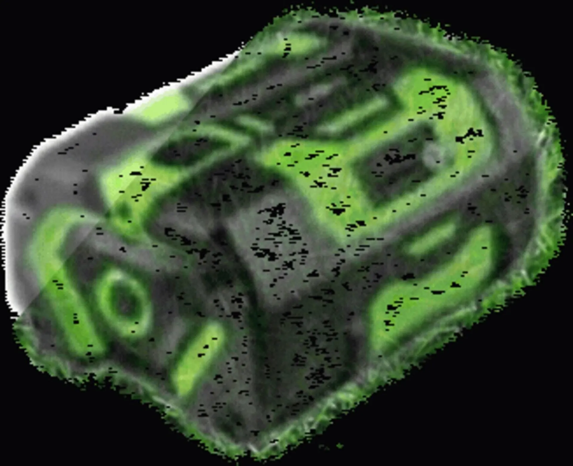 Weekly ad Ace Hardware flyer from April 16 to April 29 2026 - Page 95