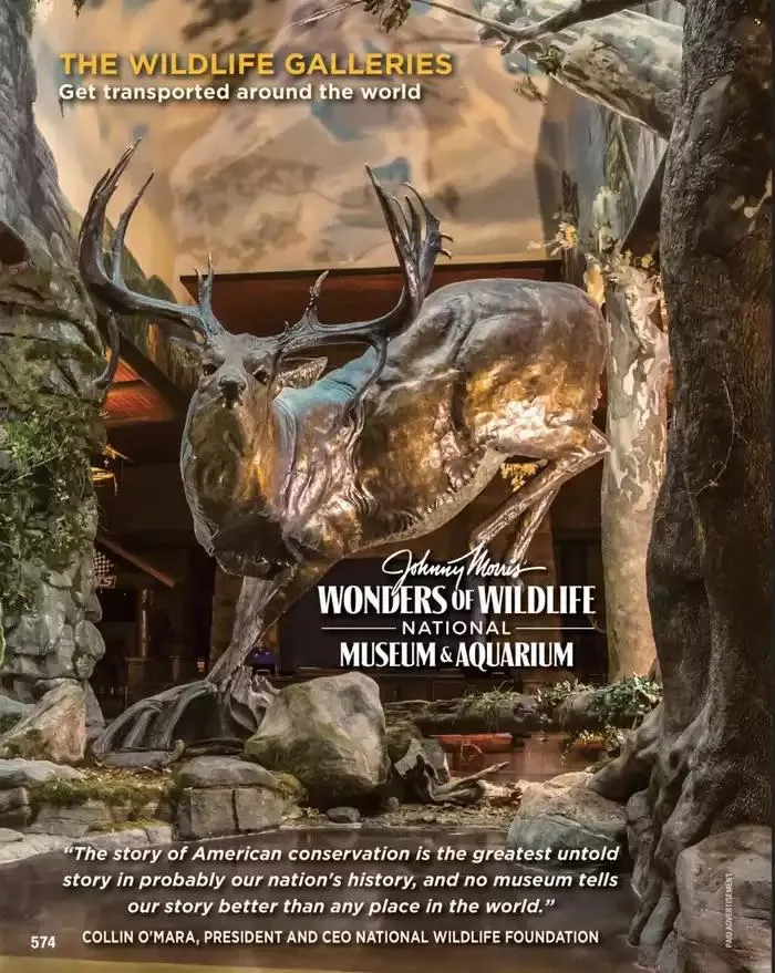 Weekly ad Cabela's Weekly ad from January 31 to February 6 2025 - Page 574