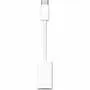 Apple USB-C to Lightning Charging Cable,