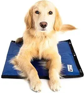 Dog Cooling Pad Dog Cooling Products Hydro Cooling Mat for Small/Medium Dogs