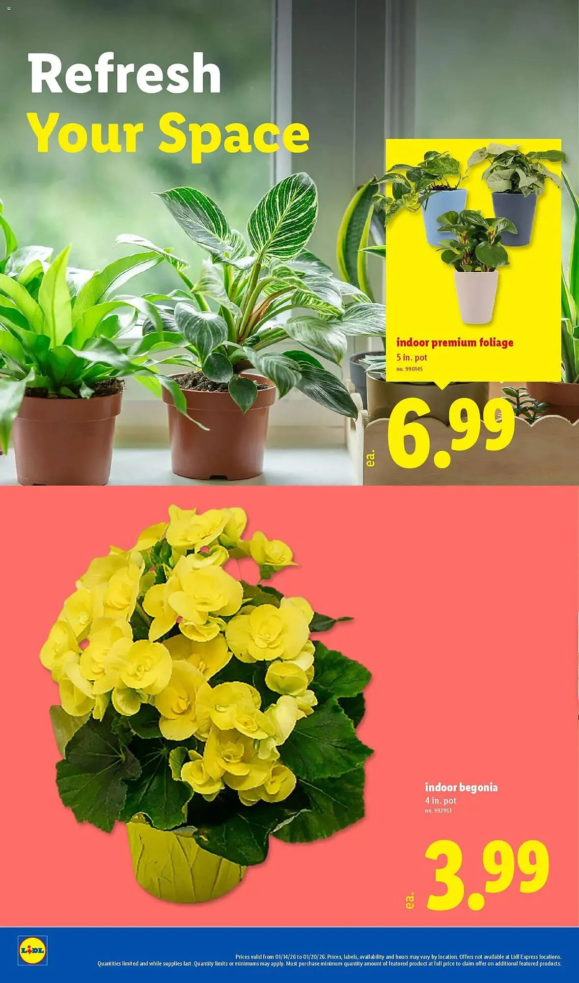 Weekly ad Lidl weekly ad from January 14 to January 22 2026 - Page 22