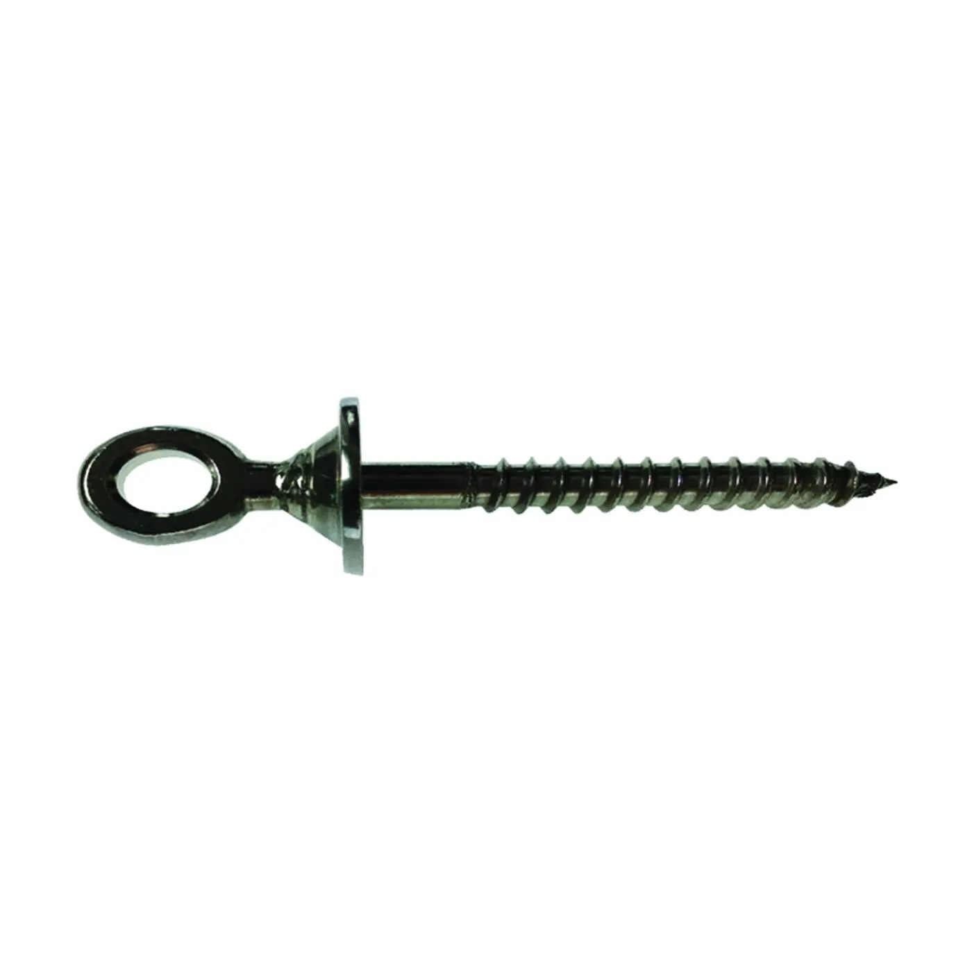 RT EL-01 Eye Lag Screw, Stainless Steel, 10 in L
