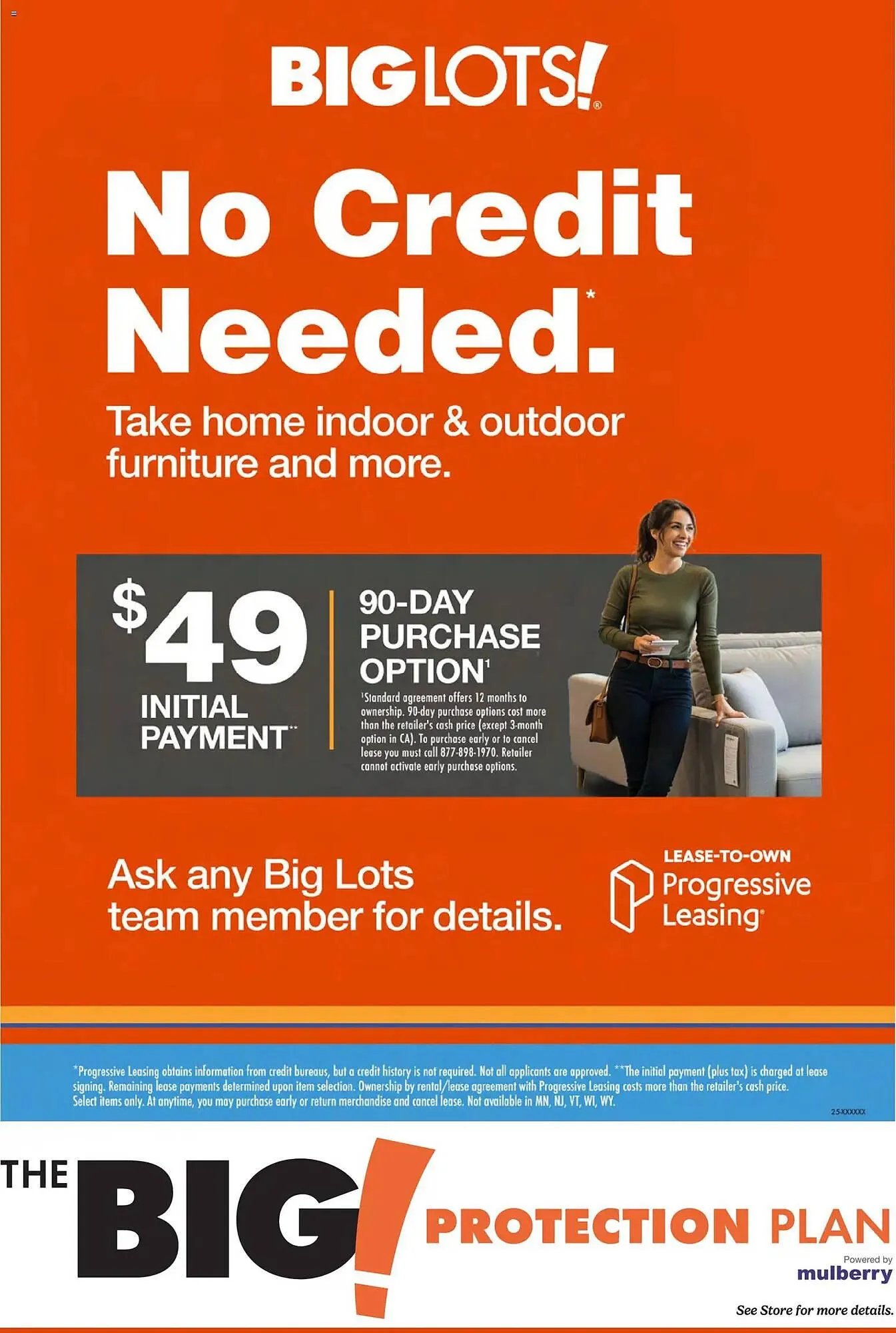 Weekly ad Big Lots weekly ad from March 12 to March 19 2026 - Page 3