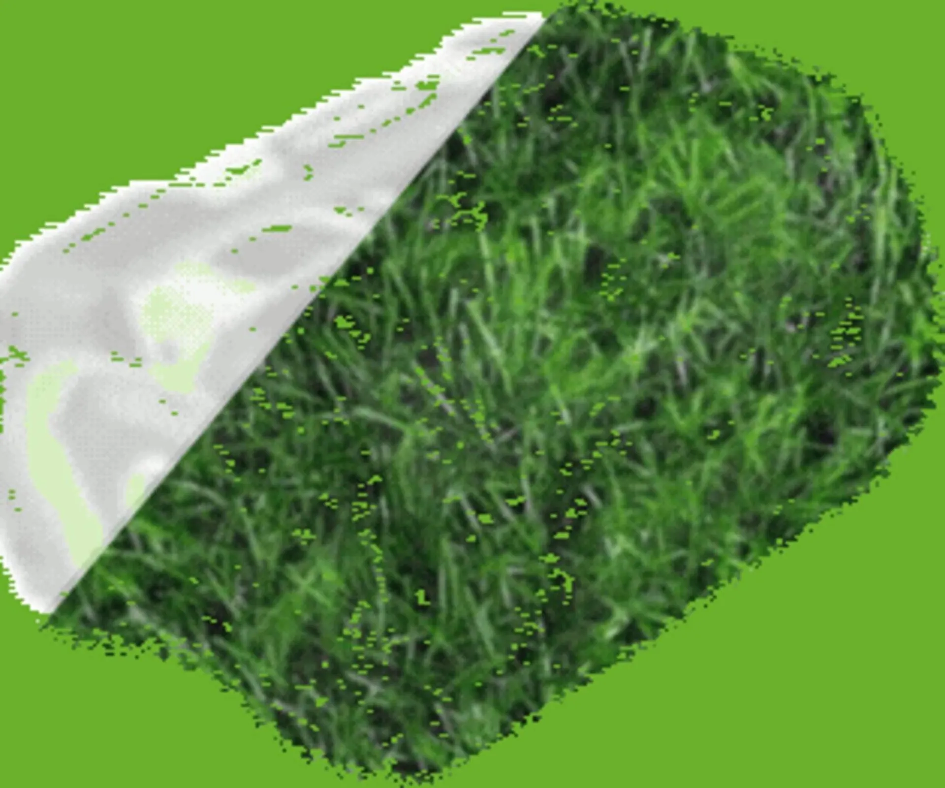 Weekly ad Ace Hardware flyer from April 16 to April 29 2026 - Page 101