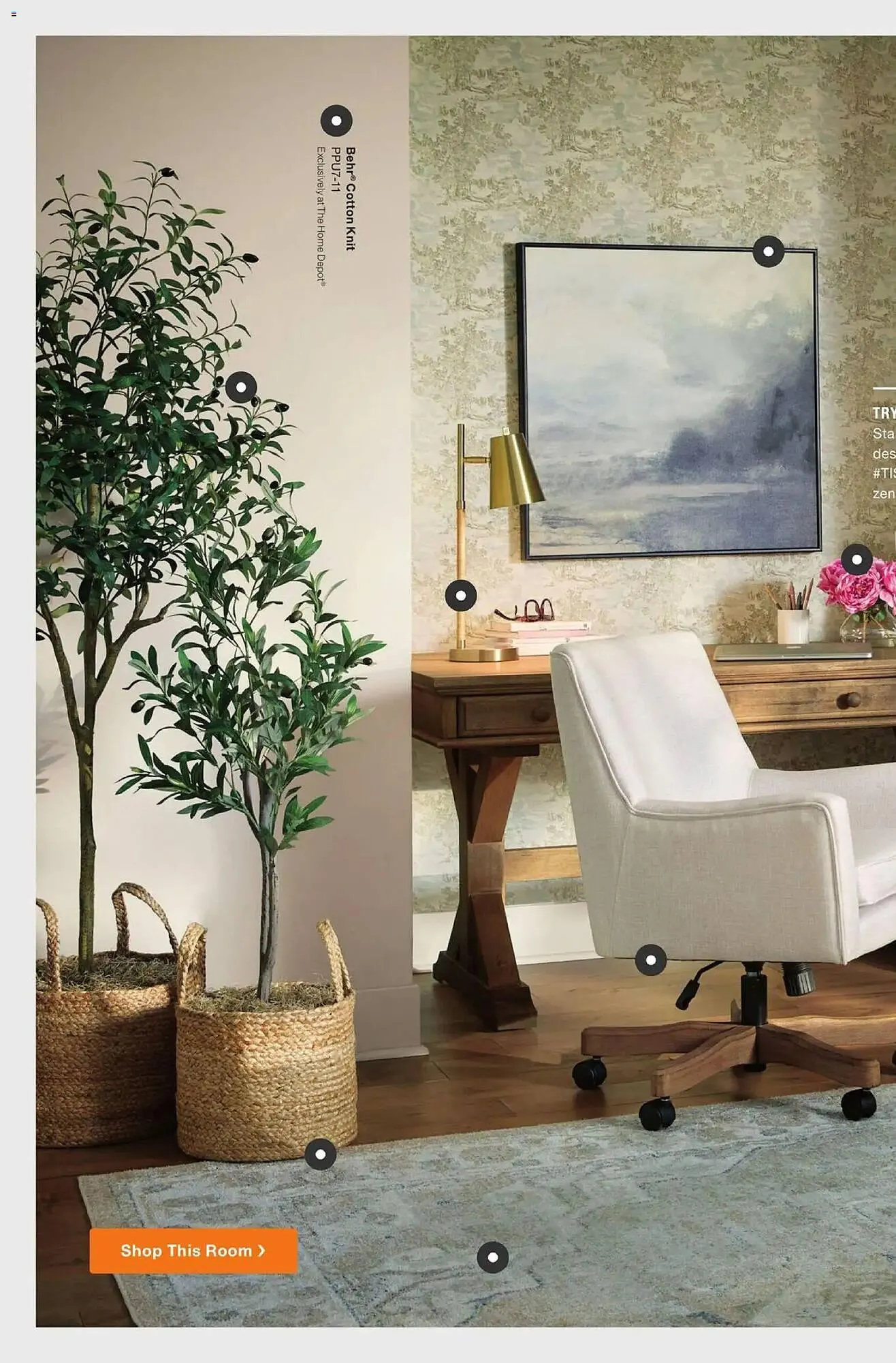 Weekly ad The Home Depot flyer from February 9 to March 23 2026 - Page 20