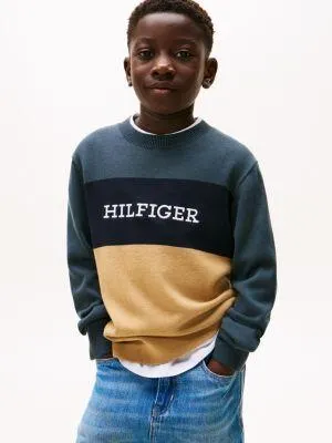 Kids' Colorblock Logo Crewneck Sweater