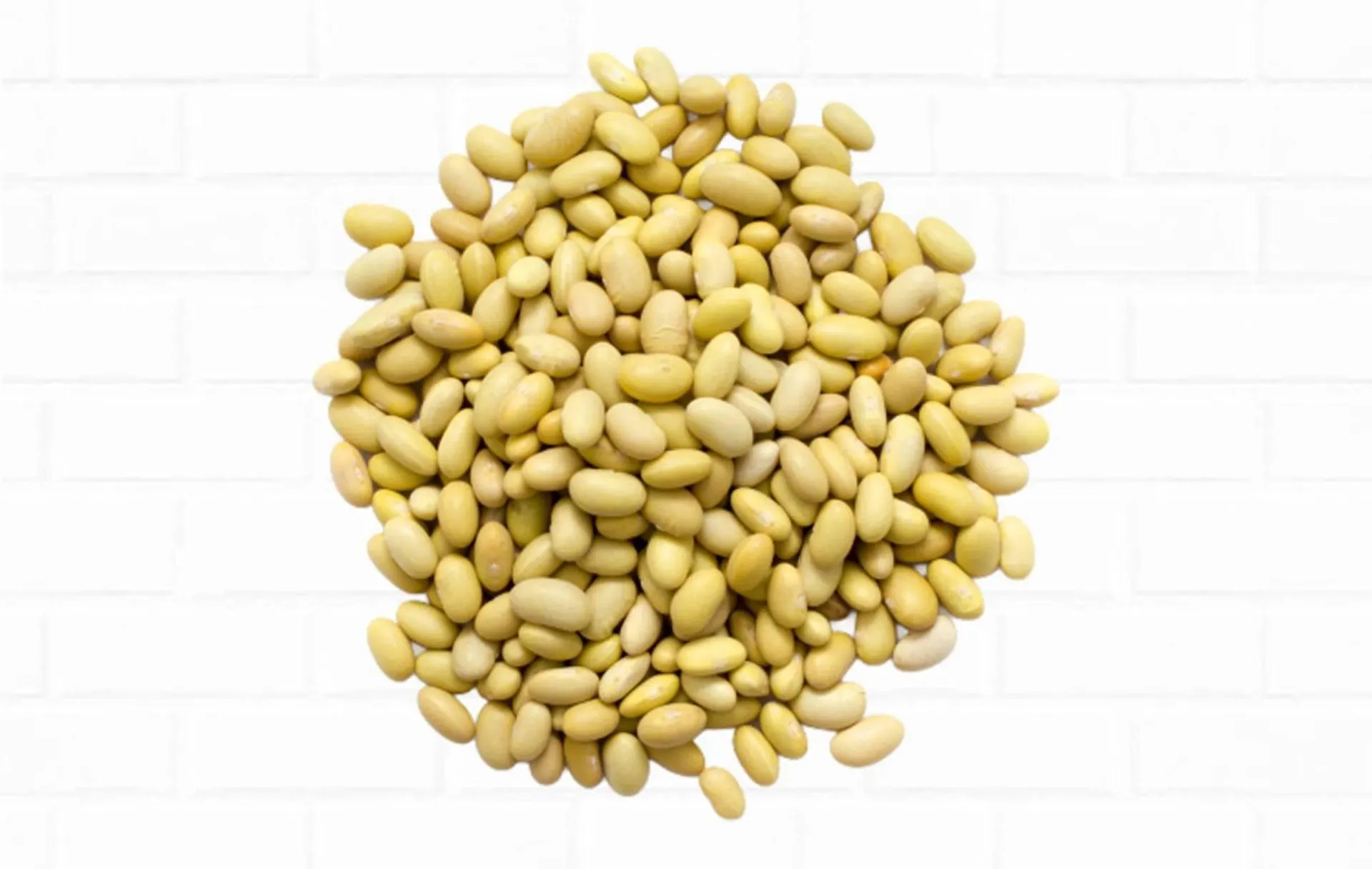 Weekly ad Northgate Market weekly ad from February 18 to March 3 2026 - Page 43