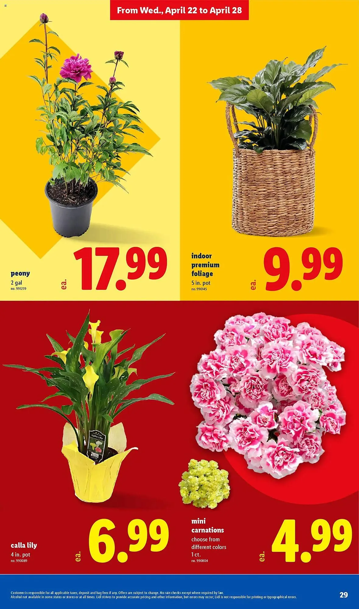Weekly ad Lidl weekly ad from April 22 to April 28 2026 - Page 29