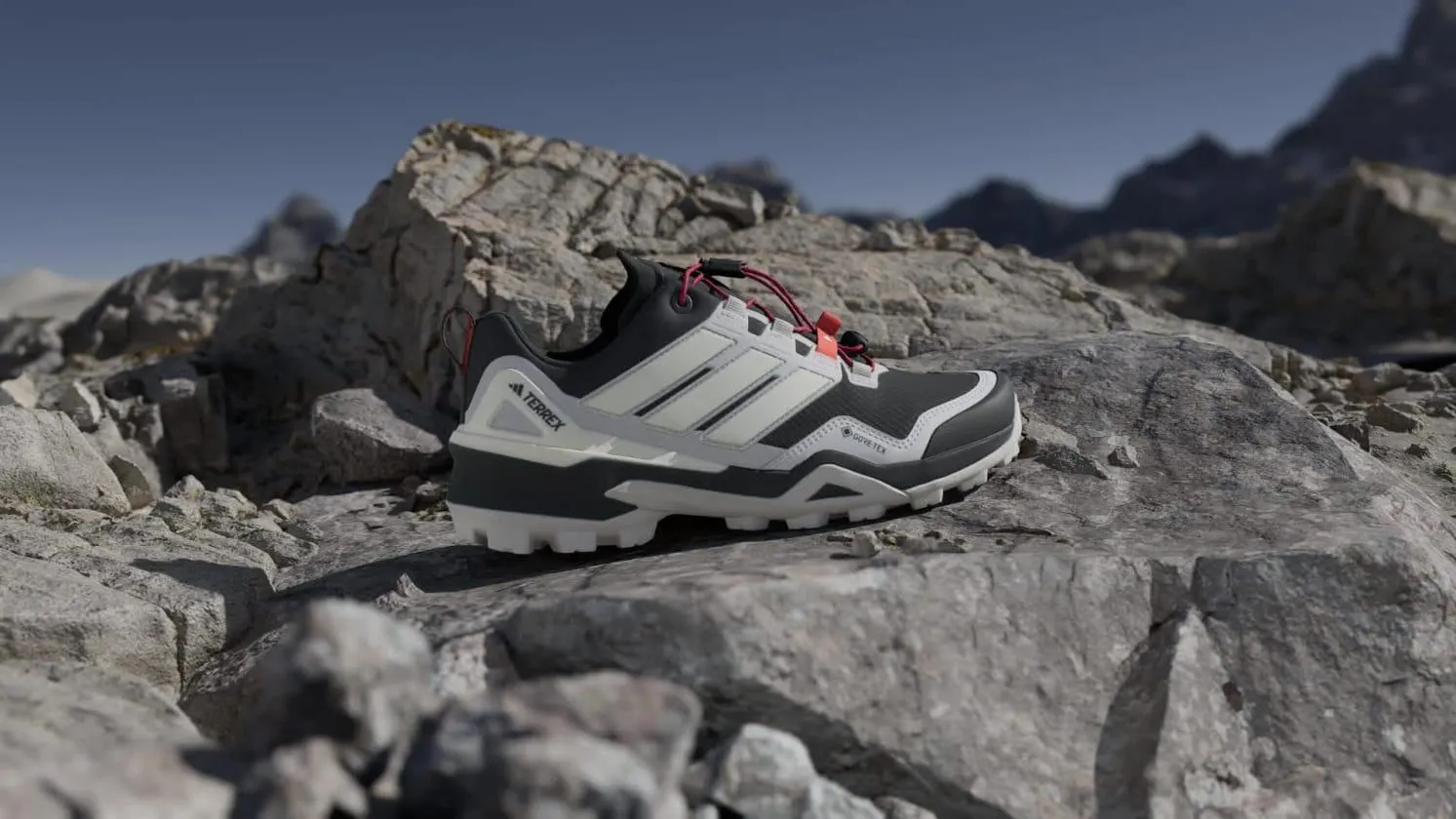 Terrex Skychaser GORE-TEX Hiking Shoes