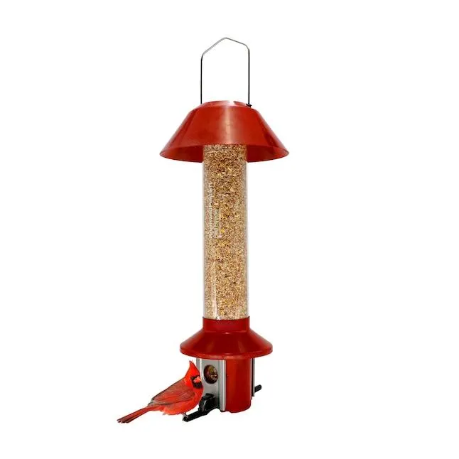 Roamwild Roamwild Steel Hanging Squirrel-Resistant Tube Bird feeder - 3-lbs