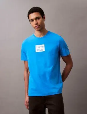 Box Logo Graphic Classic T-Shirt