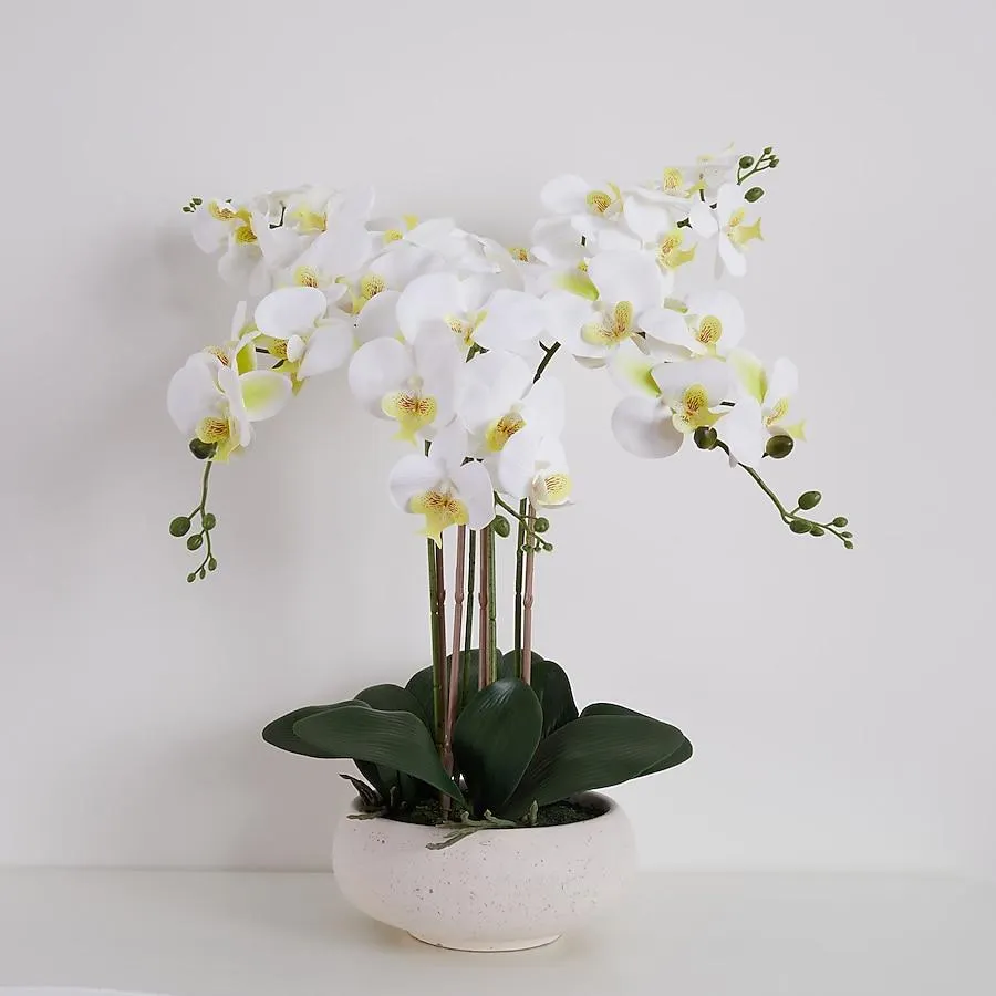 allen + roth 23-Inches White Indoor Desktop Orchid Artificial flower