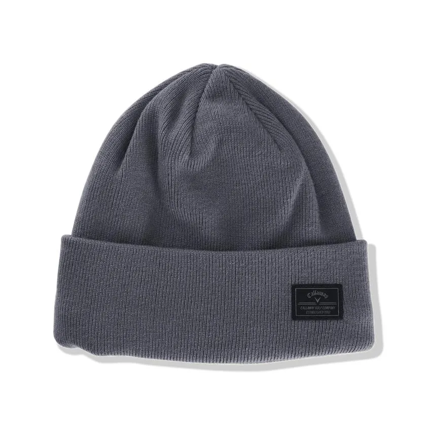 Winter Term Beanie