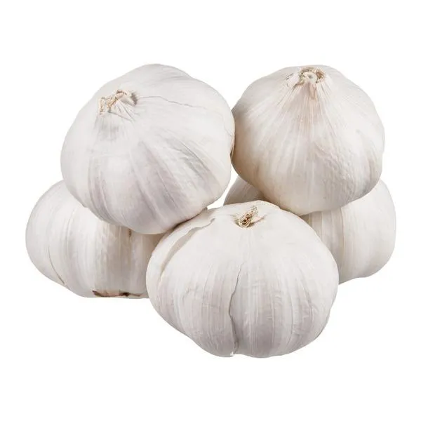 Garlic Bulb - 5 CT