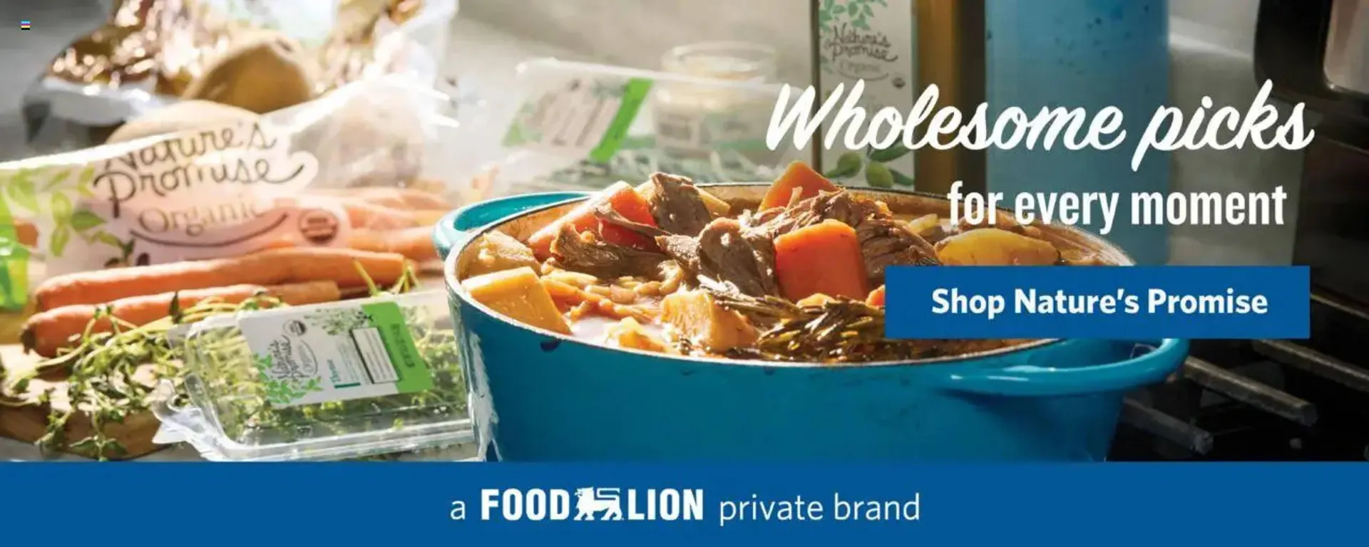 Weekly ad Food Lion weekly ad from October 22 to October 28 2025 - Page 4