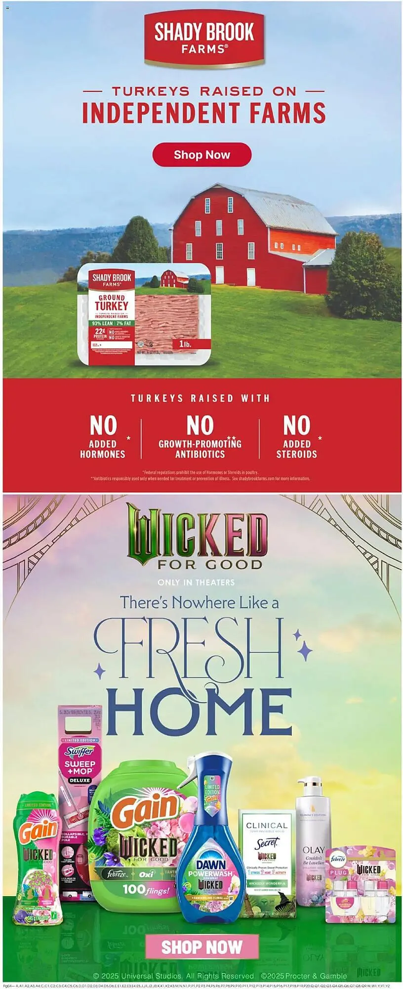 Weekly ad Giant Eagle weekly ad from October 9 to October 16 2025 - Page 6