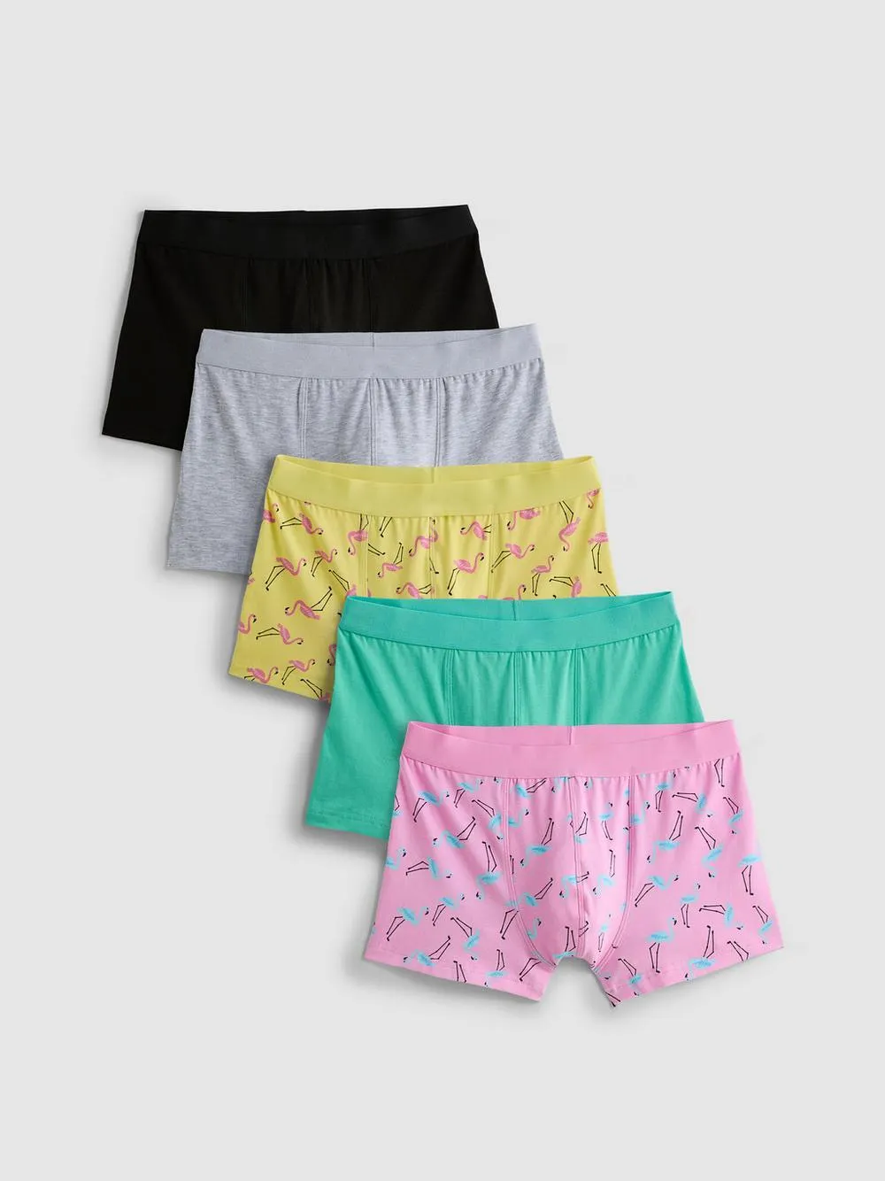 5pk Flamingo Trunks