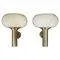 Vintage Glass Wall Lights in Brass Finish, 1970s, Set of 2
