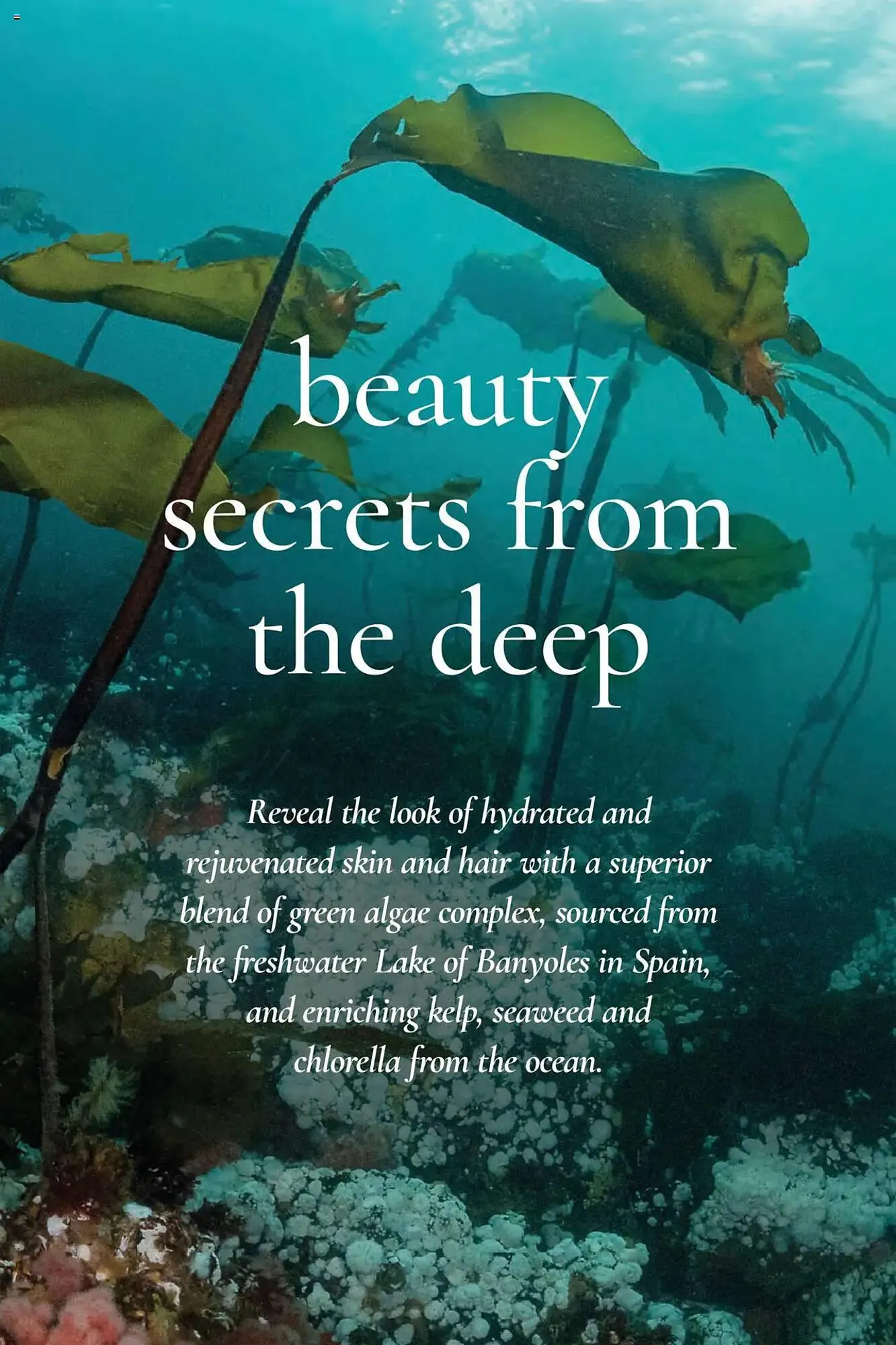 Weekly ad Avon Weekly Ad from July 30 to August 13 2025 - Page 2