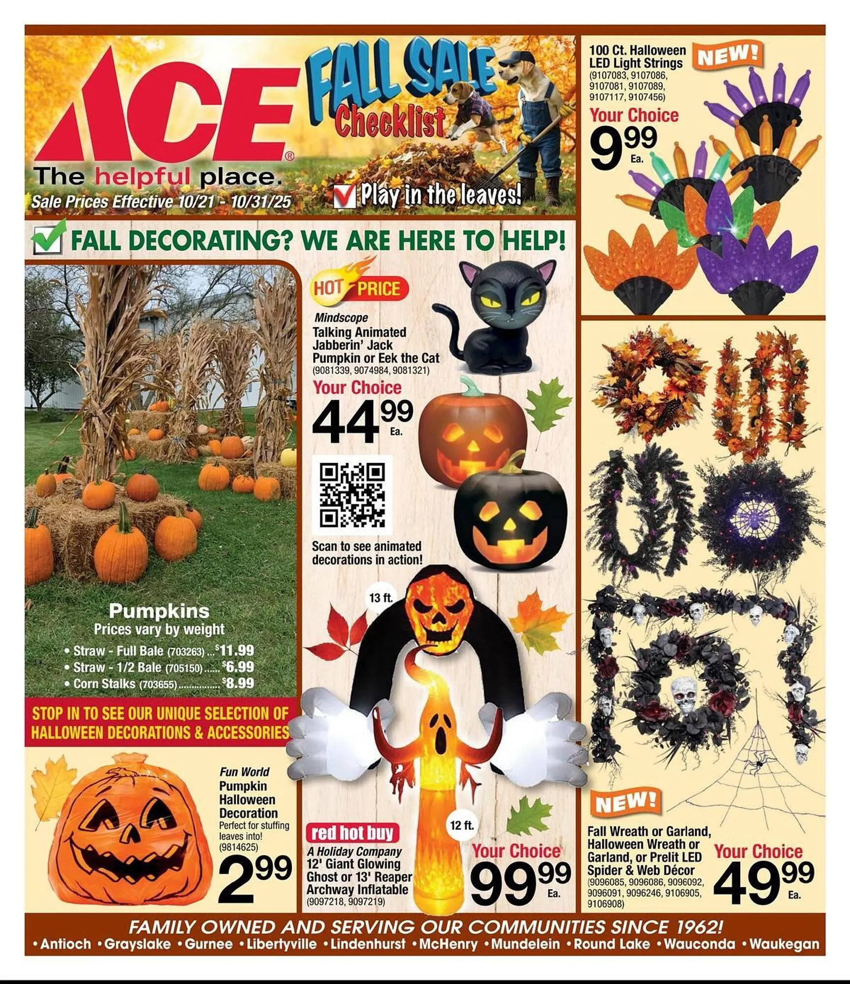 Ace Hardware flyer - 1