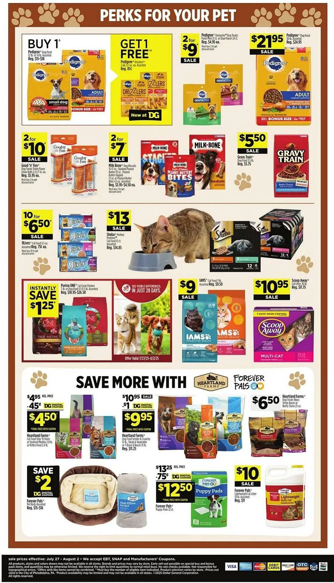 Weekly ad Dollar General Weekly Ad from July 27 to August 2 2025 - Page 13
