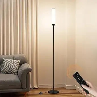 LED Floor Lamp with Remote Control, 65" Standing Lamp with Stepless Adjustable 3000K-6500K Colors & 5%-100% Brightness, Foot Switch(Black)