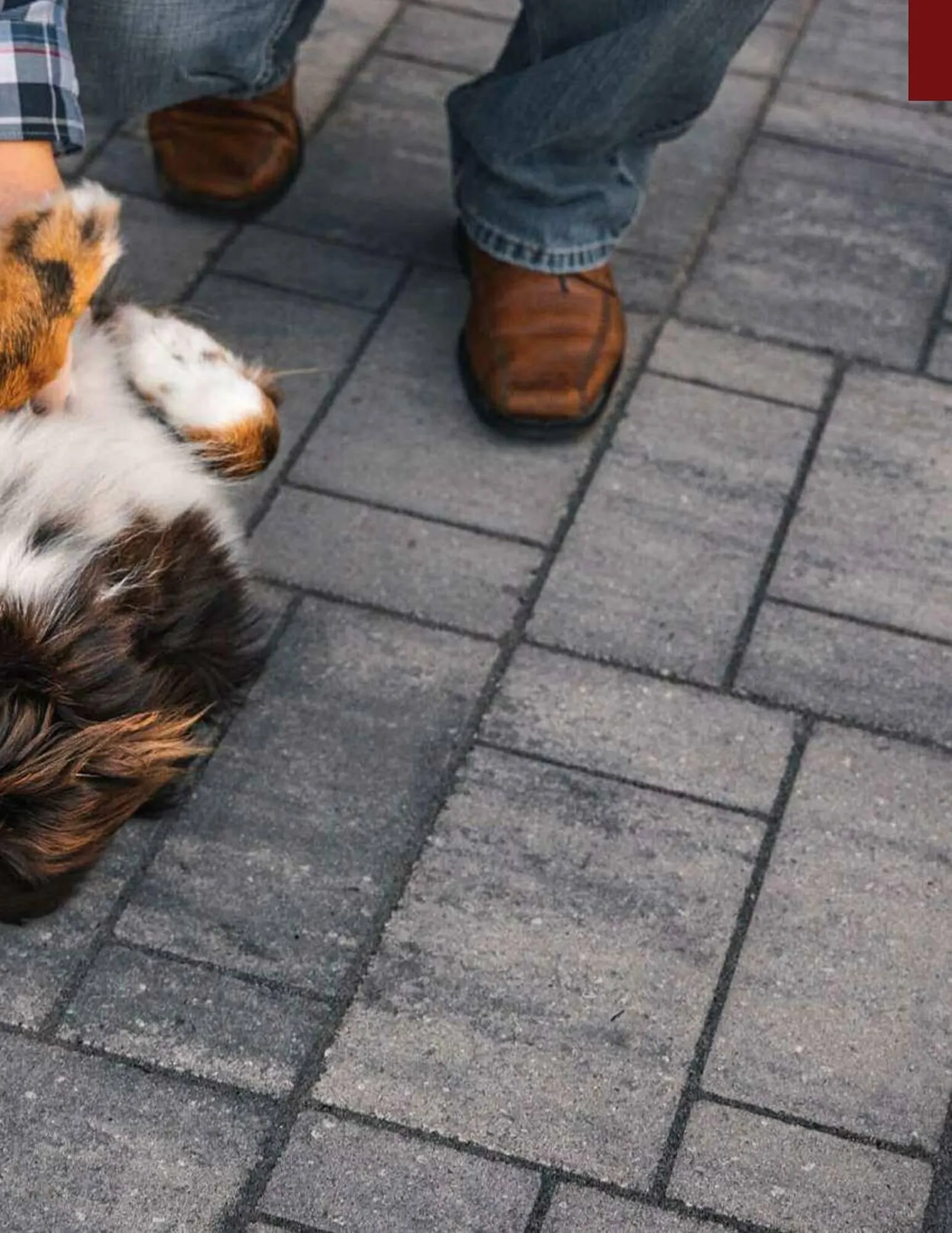 Weekly ad Menards Weekly Ad from March 13 to December 31 2025 - Page 15