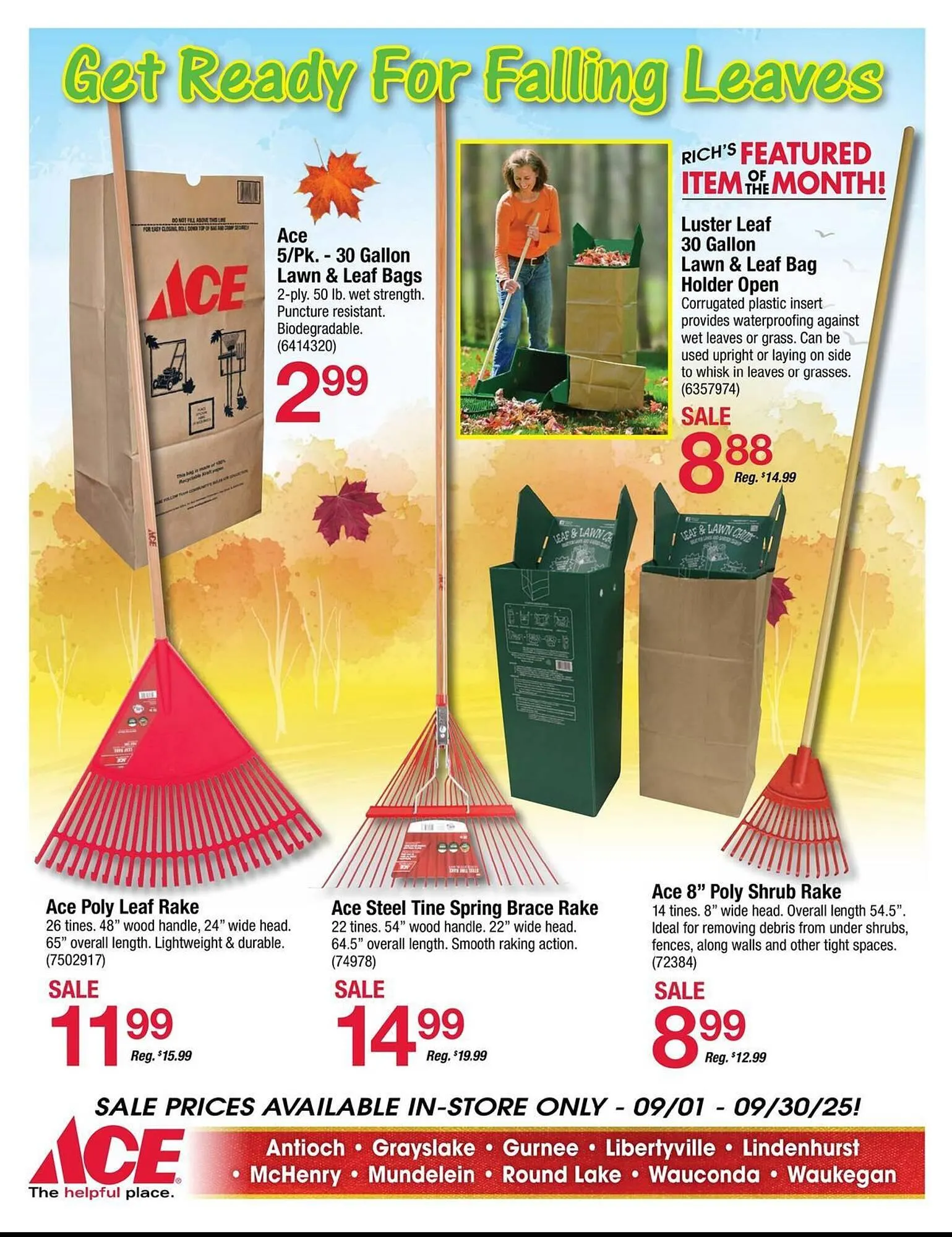 Weekly ad Ace Hardware flyer from September 1 to September 30 2025 - Page 4