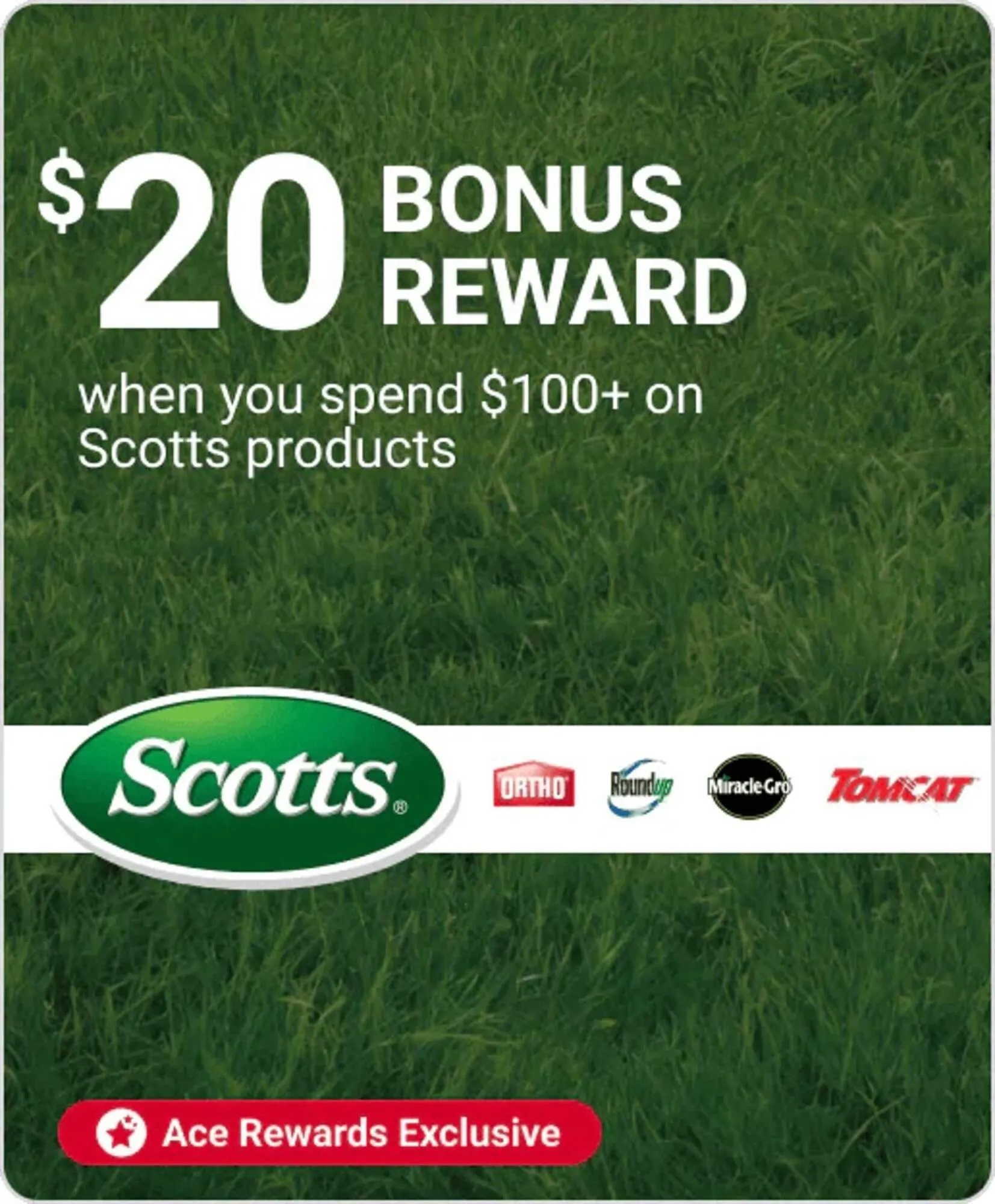 Weekly ad Ace Hardware flyer from October 15 to October 21 2025 - Page 8