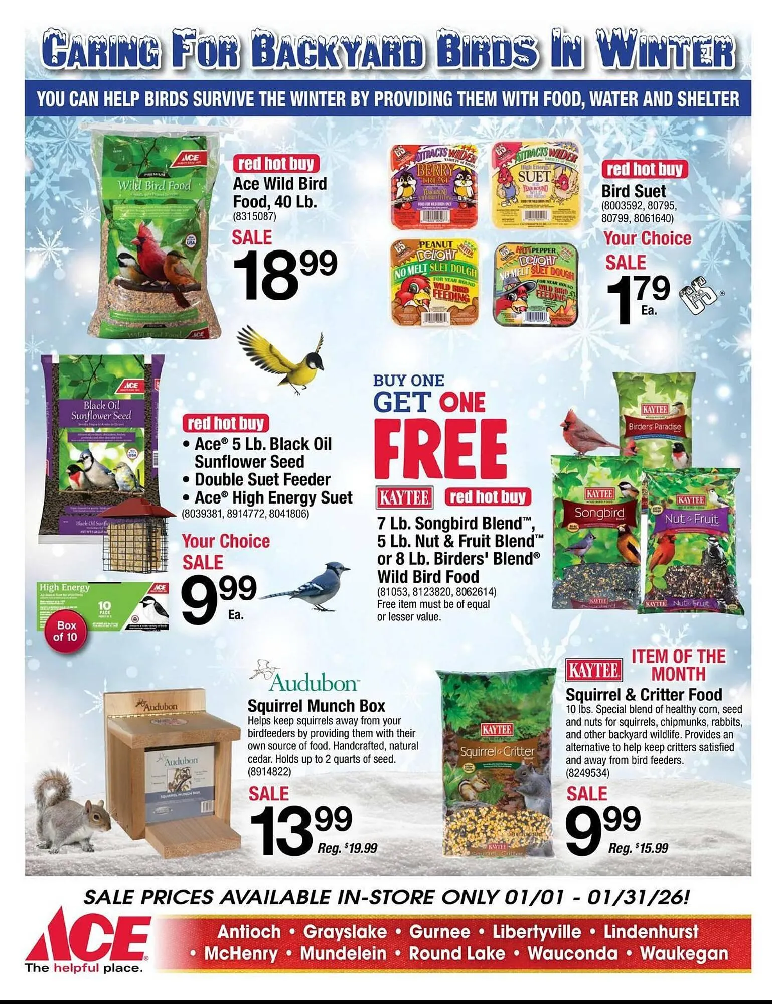 Weekly ad Ace Hardware flyer from January 1 to January 31 2026 - Page 18