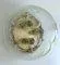 Vintage Glass and Brass Ceiling Light from Limburg