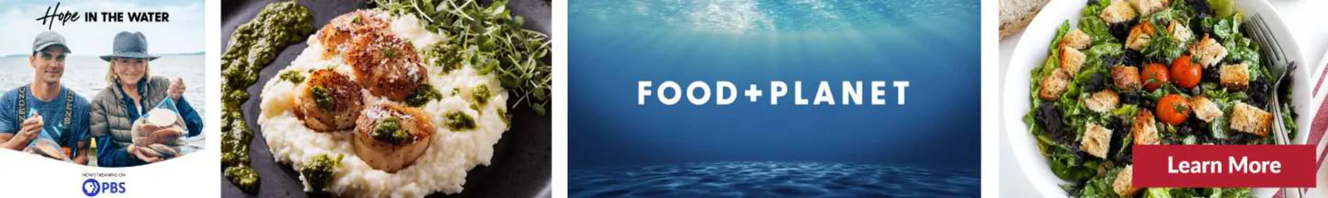 Weekly ad Big Y Weekly Ad from June 5 to June 11 2025 - Page 4