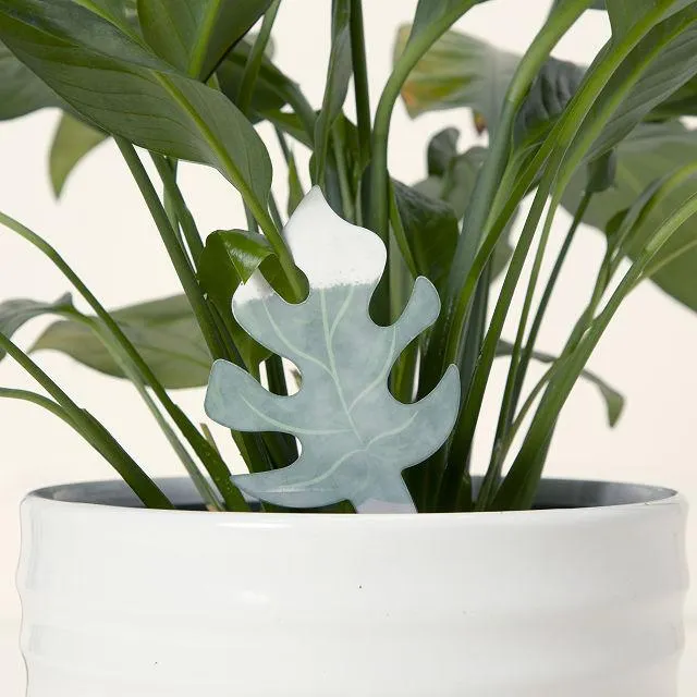 Color-Changing Plant Moisture Indicator Set