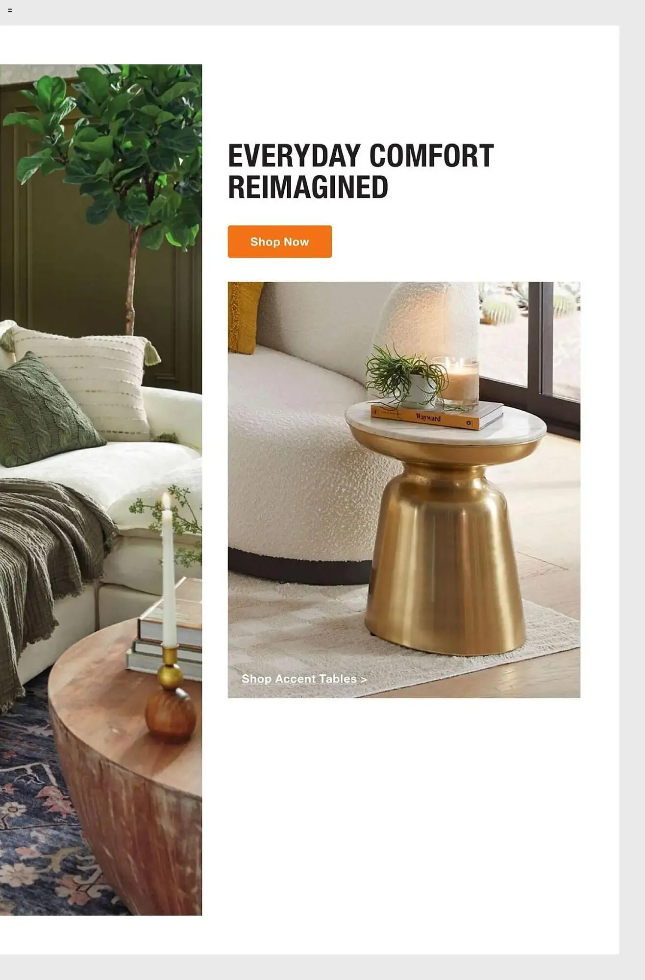 Weekly ad The Home Depot flyer from February 9 to March 23 2026 - Page 41