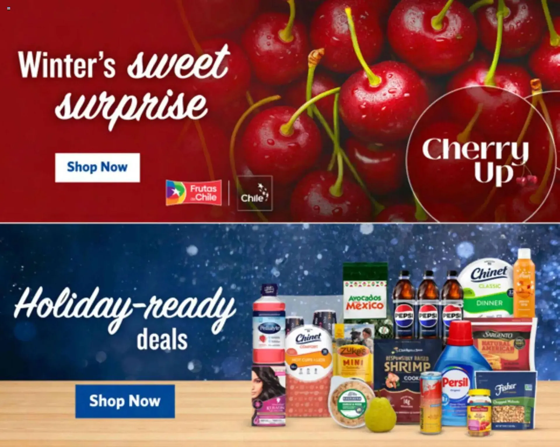 Weekly ad Food Lion weekly ad from December 26 to December 31 2025 - Page 16